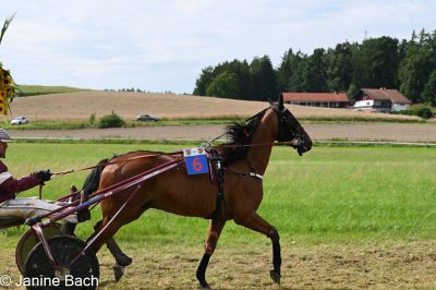 20250727_r18_009_DSC_7316.jpg