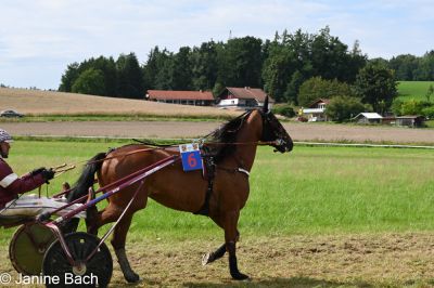 20250727_r18_010_DSC_7317.jpg