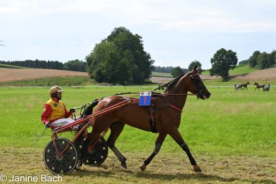 20250727_r18_030_DSC_7338.jpg