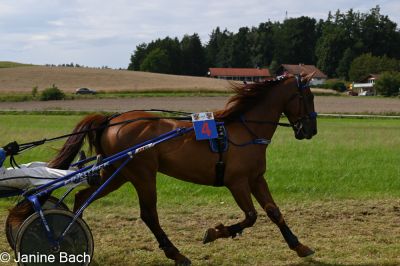 20250727_r18_046_DSC_7354.jpg