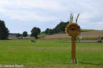 20250727_r18_048_DSC_7356.jpg
