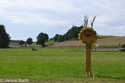 20250727_r18_049_DSC_7357.jpg