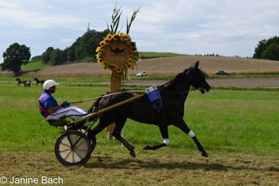 20250727_r18_052_DSC_7361.jpg