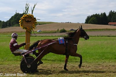 20250727_r18_060_DSC_7369.jpg