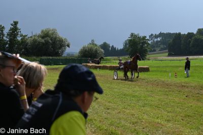 20250727_r18_063_DSC_7372.jpg