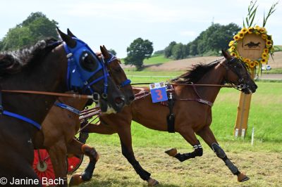 20250727_r18_071_DSC_7386.jpg