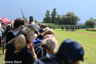 20250727_r18_075_DSC_7391.jpg