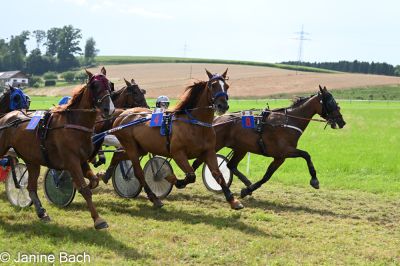 20250727_r18_078_DSC_7394.jpg