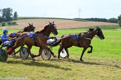 20250727_r18_087_DSC_7403.jpg