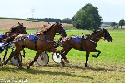 20250727_r18_088_DSC_7404.jpg