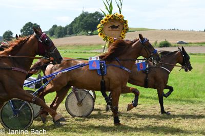 20250727_r18_090_DSC_7406.jpg