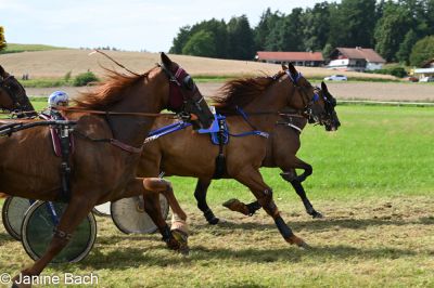 20250727_r18_091_DSC_7407.jpg