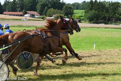 20250727_r18_092_DSC_7408.jpg