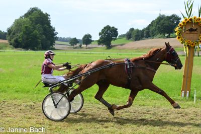 20250727_r18_097_DSC_7413.jpg