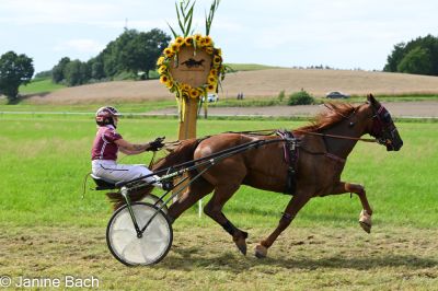 20250727_r18_098_DSC_7414.jpg