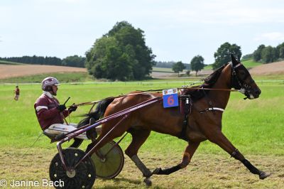 20250727_r18_101_DSC_7418.jpg