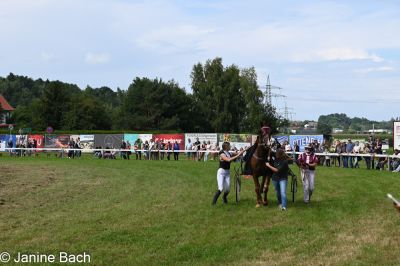 20250727_r18_116_DSC_7434.jpg