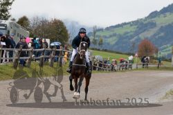 Dateiname=20251005_r06_001_R04_0001.jpg
Dateigröße=290KB
Abmessungen: 1000x667
hinzugefügt am: 06. Oktober 2025 20251005_r06_001_R04_0001.jpg