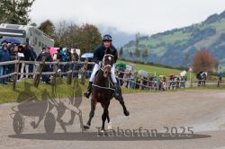 Dateiname=20251005_r06_002_R04_0002.jpg
Dateigröße=306KB
Abmessungen: 1000x667
hinzugefügt am: 06. Oktober 2025 20251005_r06_002_R04_0002.jpg