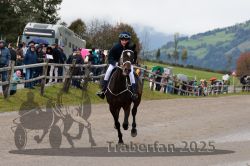 Dateiname=20251005_r06_003_R04_0003.jpg
Dateigröße=309KB
Abmessungen: 1000x667
hinzugefügt am: 06. Oktober 2025 20251005_r06_003_R04_0003.jpg