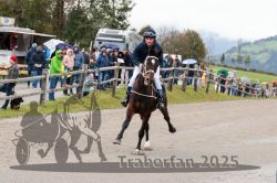 Dateiname=20251005_r06_004_R04_0005.jpg
Dateigröße=306KB
Abmessungen: 1000x667
hinzugefügt am: 06. Oktober 2025 20251005_r06_004_R04_0005.jpg