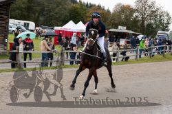 Dateiname=20251005_r06_008_R04_0011.jpg
Dateigröße=355KB
Abmessungen: 1000x667
hinzugefügt am: 06. Oktober 2025 20251005_r06_008_R04_0011.jpg