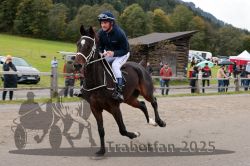 Dateiname=20251005_r06_011_R04_0015.jpg
Dateigröße=299KB
Abmessungen: 1000x667
hinzugefügt am: 06. Oktober 2025 20251005_r06_011_R04_0015.jpg