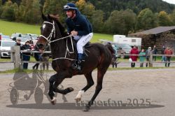 Dateiname=20251005_r06_012_R04_0016.jpg
Dateigröße=294KB
Abmessungen: 1000x667
hinzugefügt am: 06. Oktober 2025 20251005_r06_012_R04_0016.jpg