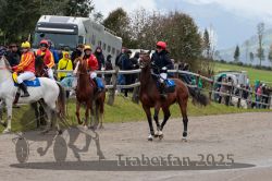 Dateiname=20251005_r06_016_R06_0119.jpg
Dateigröße=362KB
Abmessungen: 1000x667
hinzugefügt am: 06. Oktober 2025 20251005_r06_016_R06_0119.jpg