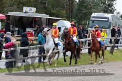 Dateiname=20251005_r06_017_R06_0123.jpg
Dateigröße=388KB
Abmessungen: 1000x667
hinzugefügt am: 06. Oktober 2025 20251005_r06_017_R06_0123.jpg