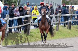 Dateiname=20251005_r06_018_R06_0124.jpg
Dateigröße=361KB
Abmessungen: 1000x667
hinzugefügt am: 06. Oktober 2025 20251005_r06_018_R06_0124.jpg