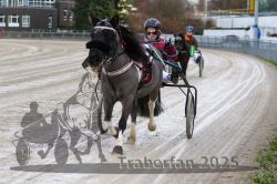 Dateiname=20251130_mt_013_MTT_0026.jpg
Dateigröße=310KB
Abmessungen: 1000x667
hinzugefügt am: 30. November 2025 20251130_mt_013_MTT_0026.jpg