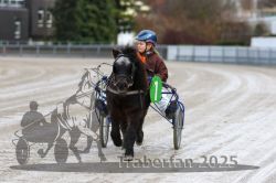 Dateiname=20251130_mt_015_MTT_0031.jpg
Dateigröße=239KB
Abmessungen: 1000x667
hinzugefügt am: 30. November 2025 20251130_mt_015_MTT_0031.jpg