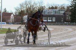 Dateiname=20251130_qu_004_QU1_0011.jpg
Dateigröße=294KB
Abmessungen: 1000x667
hinzugefügt am: 30. November 2025 20251130_qu_004_QU1_0011.jpg