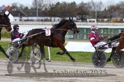 Dateiname=20251130_qu_019_QU1_0041.jpg
Dateigröße=298KB
Abmessungen: 1000x667
hinzugefügt am: 30. November 2025 20251130_qu_019_QU1_0041.jpg