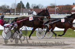 Dateiname=20251130_qu_020_QU1_0047.jpg
Dateigröße=300KB
Abmessungen: 1000x667
hinzugefügt am: 30. November 2025 20251130_qu_020_QU1_0047.jpg