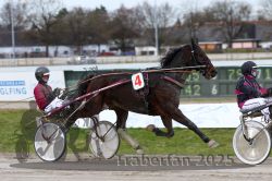 Dateiname=20251130_qu_034_QU1_0080.jpg
Dateigröße=287KB
Abmessungen: 1000x667
hinzugefügt am: 30. November 2025 20251130_qu_034_QU1_0080.jpg