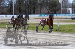 Dateiname=20251130_qu_036_QU1_0084.jpg
Dateigröße=291KB
Abmessungen: 1000x667
hinzugefügt am: 30. November 2025 20251130_qu_036_QU1_0084.jpg