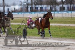 Dateiname=20251130_qu_040_QU1_0094.jpg
Dateigröße=281KB
Abmessungen: 1000x667
hinzugefügt am: 30. November 2025 20251130_qu_040_QU1_0094.jpg