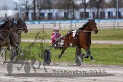 Dateiname=20251130_qu_041_QU1_0096.jpg
Dateigröße=283KB
Abmessungen: 1000x667
hinzugefügt am: 30. November 2025 20251130_qu_041_QU1_0096.jpg