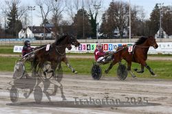 Dateiname=20251130_qu_042_QU1_0098.jpg
Dateigröße=347KB
Abmessungen: 1000x667
hinzugefügt am: 30. November 2025 20251130_qu_042_QU1_0098.jpg