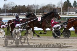 Dateiname=20251130_qu_043_QU1_0106.jpg
Dateigröße=290KB
Abmessungen: 1000x667
hinzugefügt am: 30. November 2025 20251130_qu_043_QU1_0106.jpg