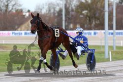 Dateiname=20251130_r01_001_R01_0001.jpg
Dateigröße=259KB
Abmessungen: 1000x667
hinzugefügt am: 01. Dezember 2025 20251130_r01_001_R01_0001.jpg