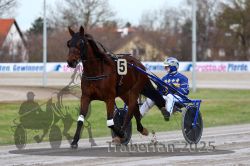 Dateiname=20251130_r01_002_R01_0004.jpg
Dateigröße=267KB
Abmessungen: 1000x667
hinzugefügt am: 01. Dezember 2025 20251130_r01_002_R01_0004.jpg