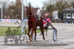 Dateiname=20251130_r01_003_R01_0009.jpg
Dateigröße=284KB
Abmessungen: 1000x667
hinzugefügt am: 01. Dezember 2025 20251130_r01_003_R01_0009.jpg