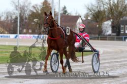 Dateiname=20251130_r01_004_R01_0011.jpg
Dateigröße=282KB
Abmessungen: 1000x667
hinzugefügt am: 01. Dezember 2025 20251130_r01_004_R01_0011.jpg