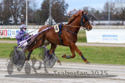 Dateiname=20251130_r01_005_R01_0014.jpg
Dateigröße=287KB
Abmessungen: 1000x667
hinzugefügt am: 01. Dezember 2025 20251130_r01_005_R01_0014.jpg