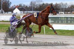 Dateiname=20251130_r01_006_R01_0016.jpg
Dateigröße=279KB
Abmessungen: 1000x667
hinzugefügt am: 01. Dezember 2025 20251130_r01_006_R01_0016.jpg