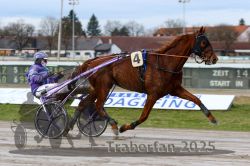 Dateiname=20251130_r01_008_R01_0020.jpg
Dateigröße=283KB
Abmessungen: 1000x667
hinzugefügt am: 01. Dezember 2025 20251130_r01_008_R01_0020.jpg