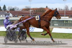 Dateiname=20251130_r01_009_R01_0021.jpg
Dateigröße=276KB
Abmessungen: 1000x667
hinzugefügt am: 01. Dezember 2025 20251130_r01_009_R01_0021.jpg